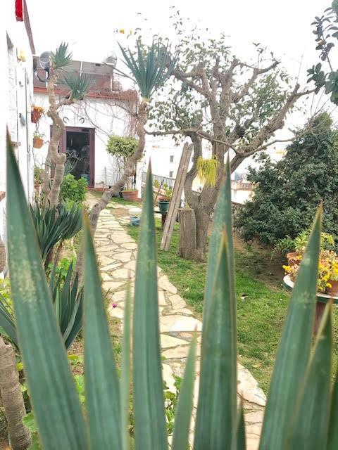 Hostal Casa Torrent Canet De Mar Exterior photo